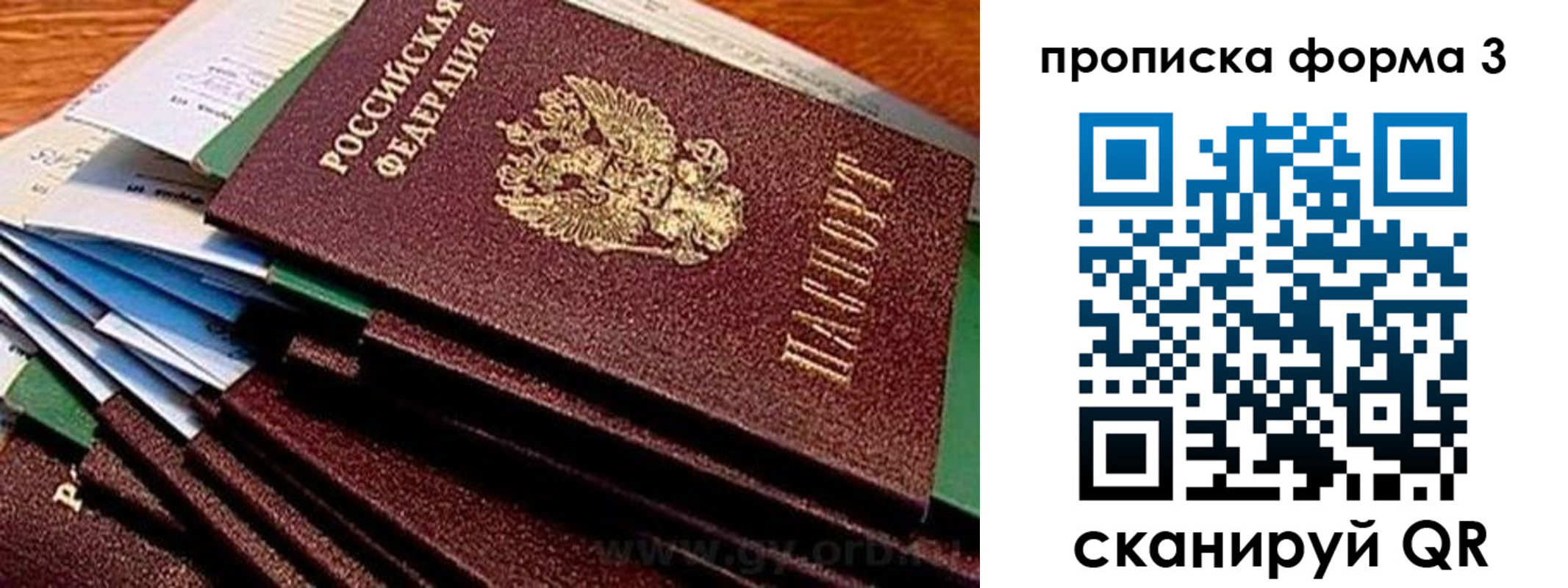 прописка иностранных граждан в Оленегорске